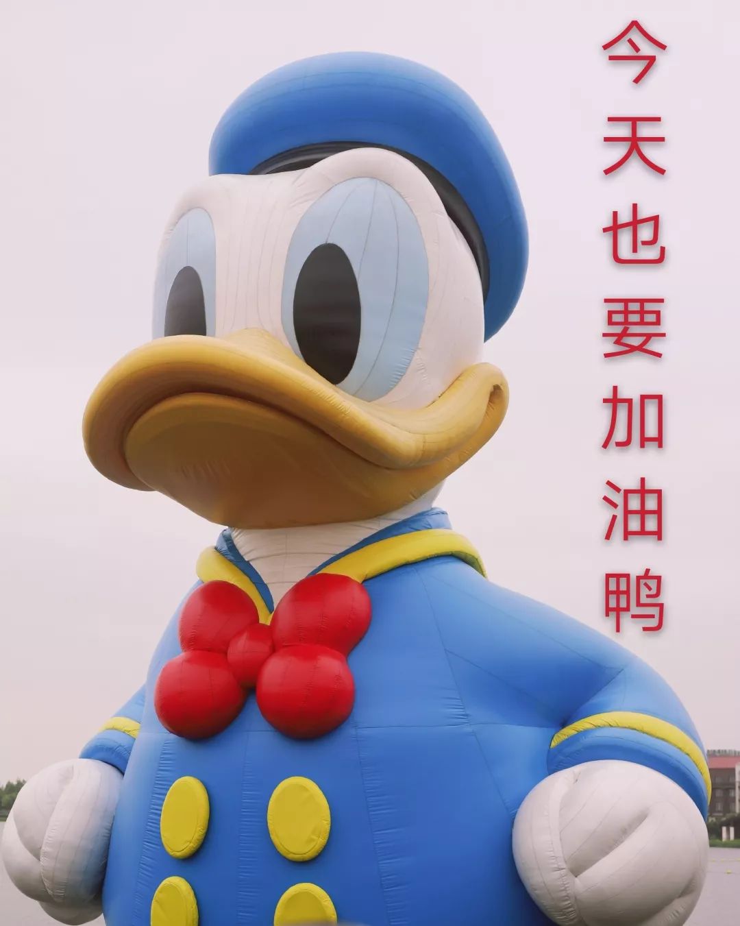 【华东作妖记】之六 | 在魔都掀起妖风