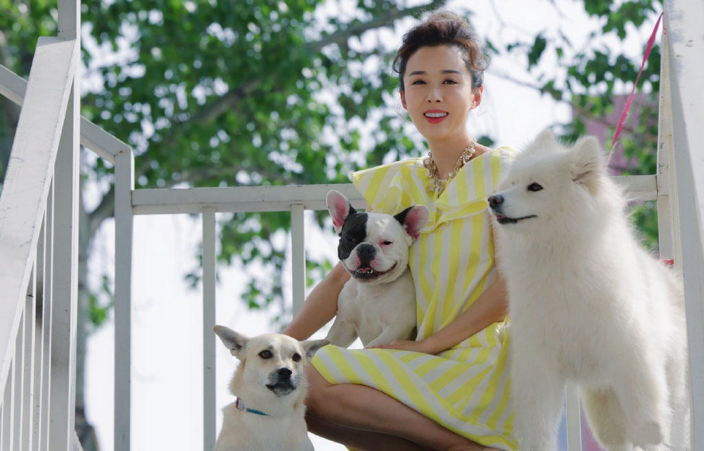 原创颜丹晨晒暖心萌犬照嫦娥姐姐真是有爱心不过女神也太美了吧