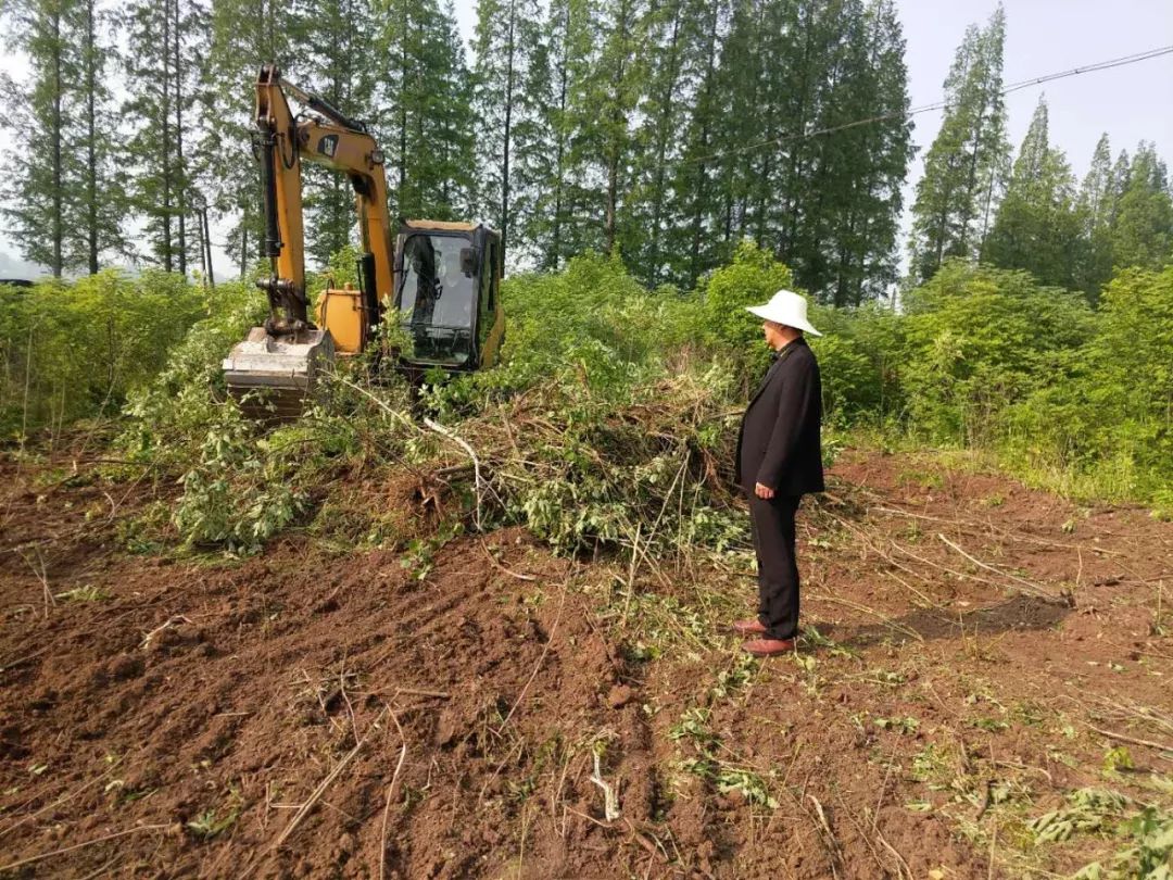 康宁村退林还耕工作稳步推进
