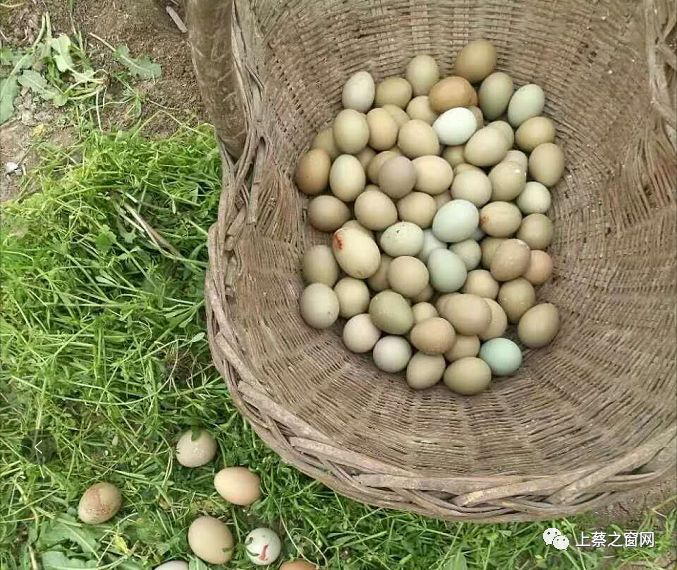 物产丰富能人多上蔡特产美名扬