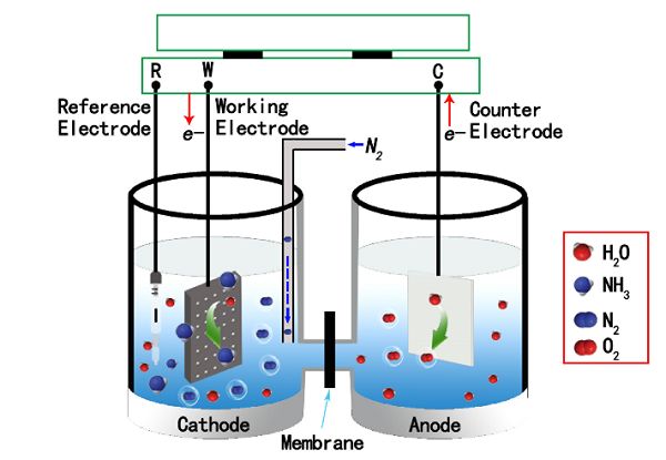三电极电解池示意图图片