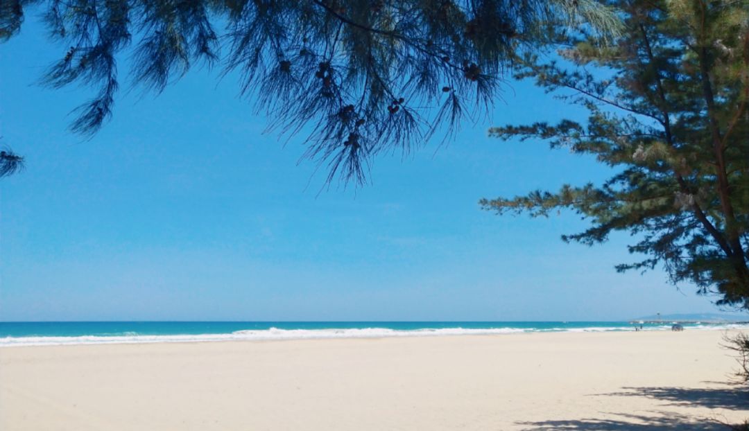 生命的精彩在于发现和行动,只要有一双发现美的眼睛,哪里都是风景!