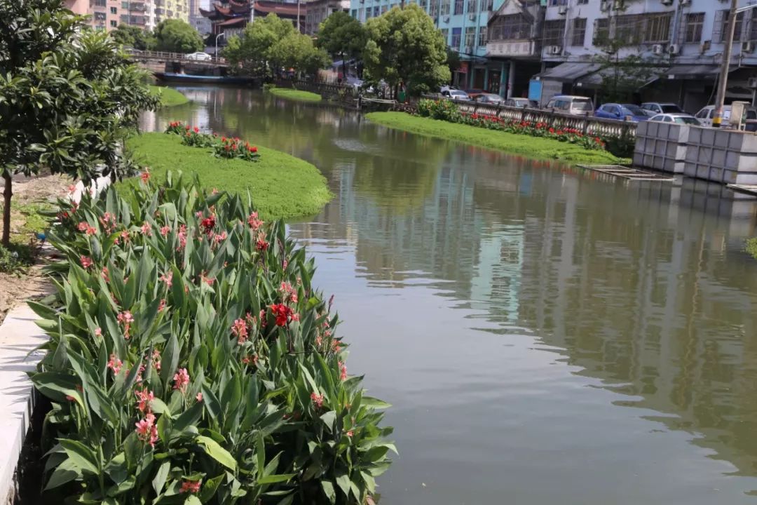 巡巡白沙河 龙港的母亲河又变美了