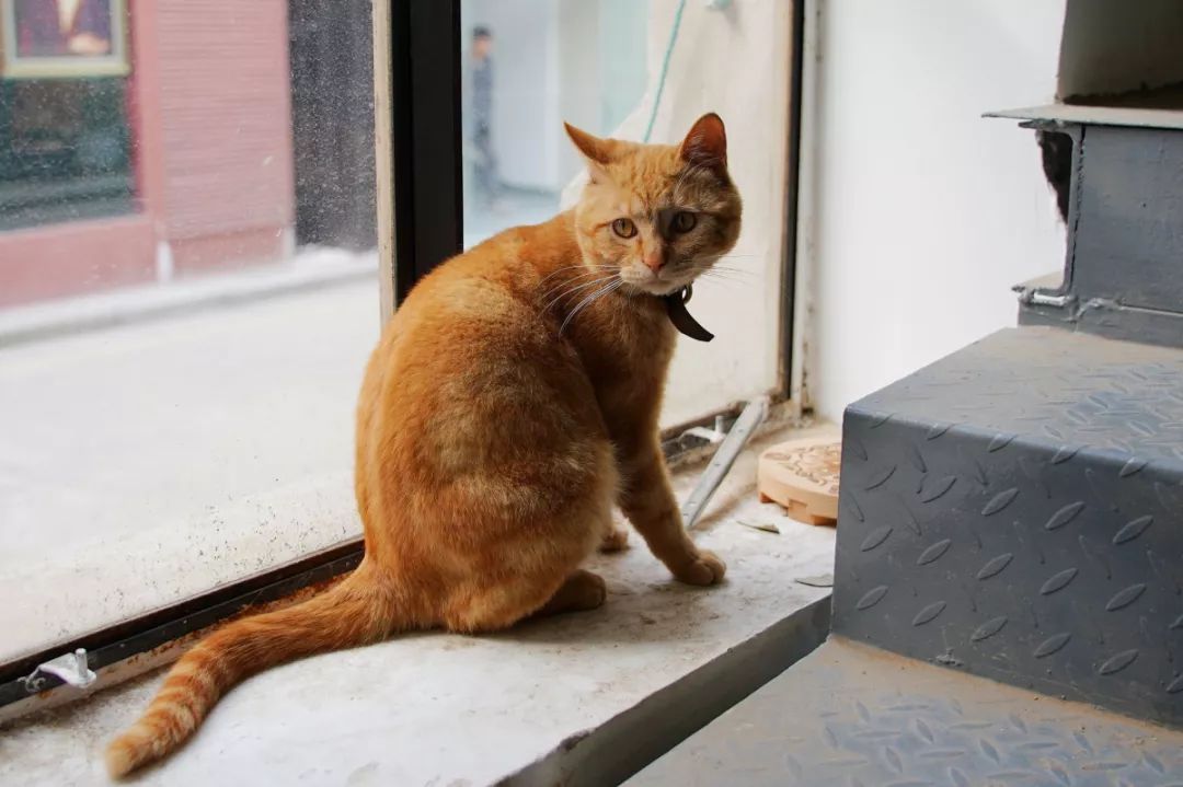 无锡老字号园区,华丽转身成网红!好吃好逛好买,五一就定这里了