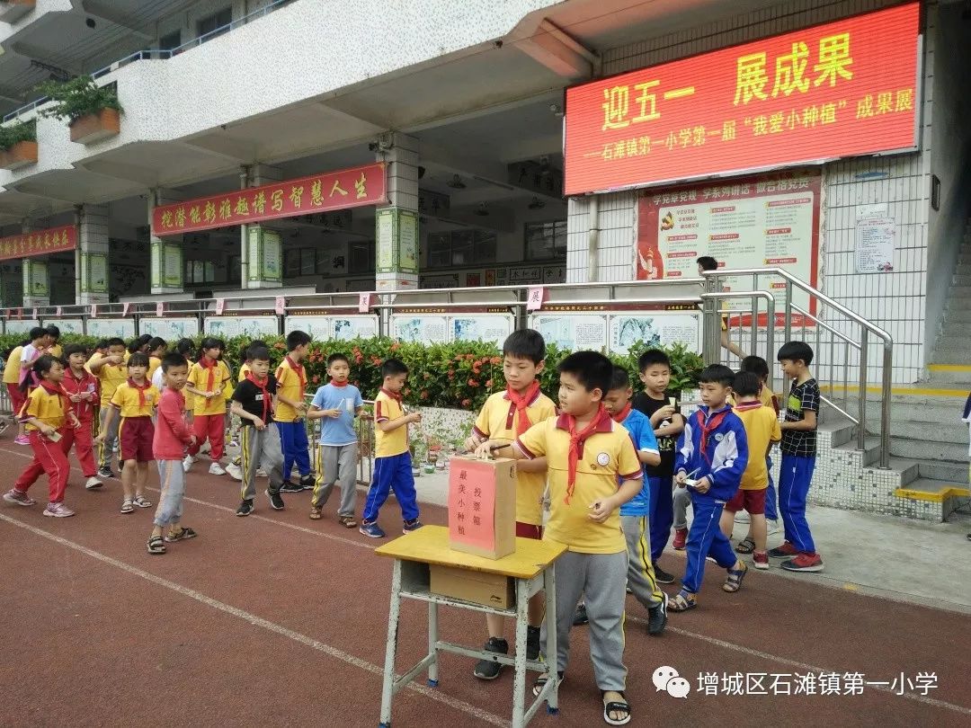 石滩一小多元化活动有效推进stem课程建设