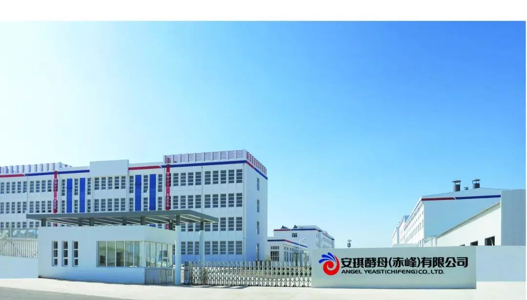 安琪酵母赤峰有限公司招聘公告