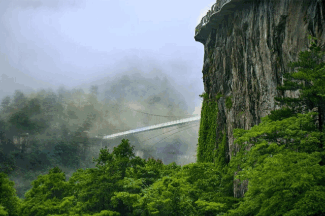 640_425gif 动态图 动图