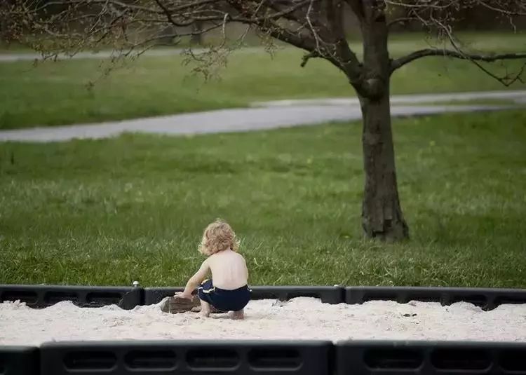 微书话贾平凹朋友圈就是你人生的缩影