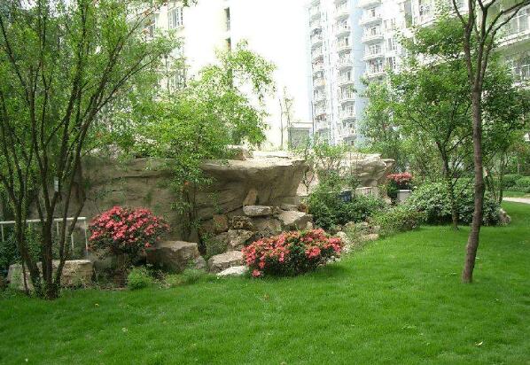 城市园林环保绿化工程施工中植物养护有何策略?