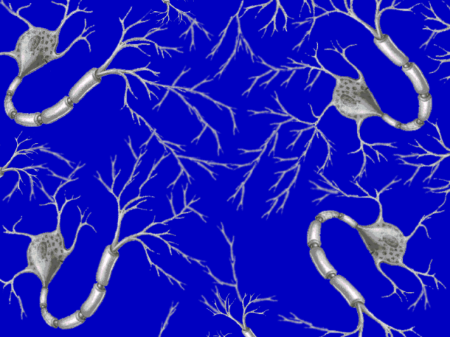 一生仅一次大脑发育高峰期,做到这3点能拉开孩子间差距!_神经元