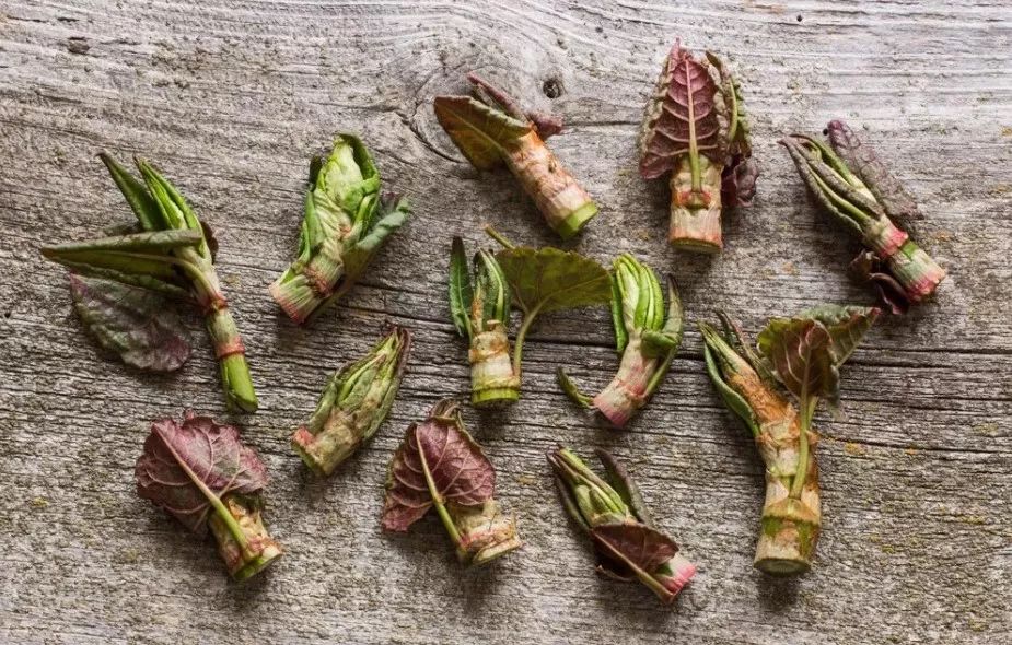 由于本身就是酸甜口,用花斑笋做个酸汤米线也是极好的