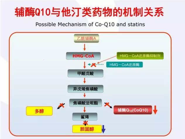 水溶性他汀图片