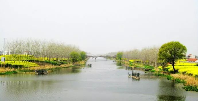 【咸阳校园美文】令人怀念的毕塬路