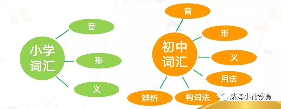 小學英語單詞量少(600-800個)且簡單,初中詞彙量多(1600-2000個)且偏