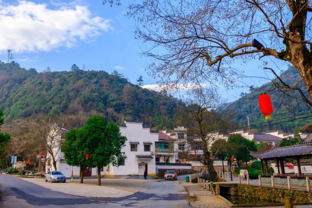 湖州这个村里惊现"国宝"!