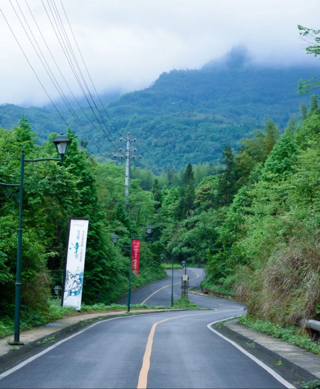 初夏出游正相宜花水景色最美时