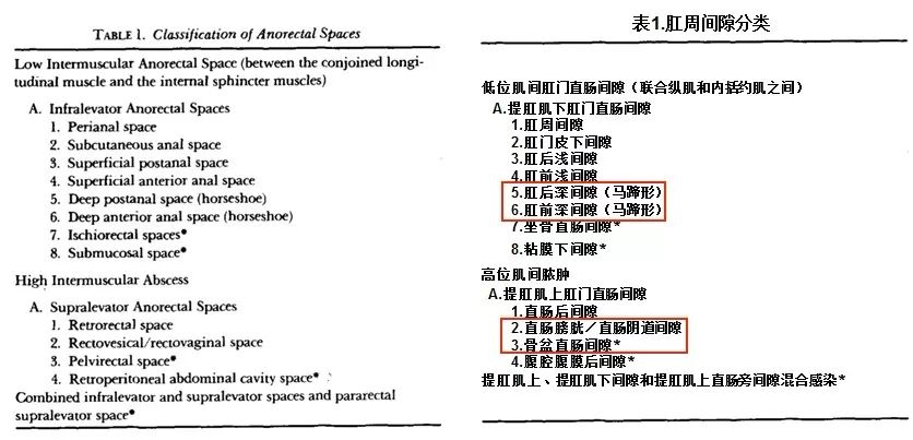 醫學專家改良hanley手術治療馬蹄形肛瘻鋒哥推薦大家收藏