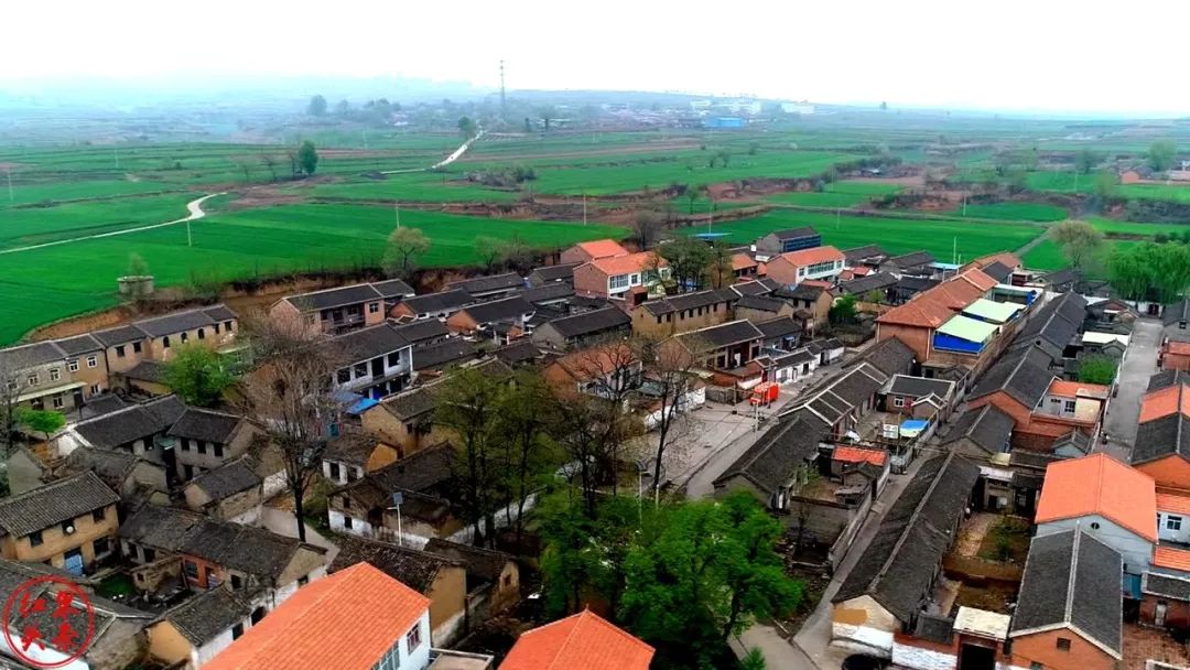 这里是泽州巴公镇东板桥国槐