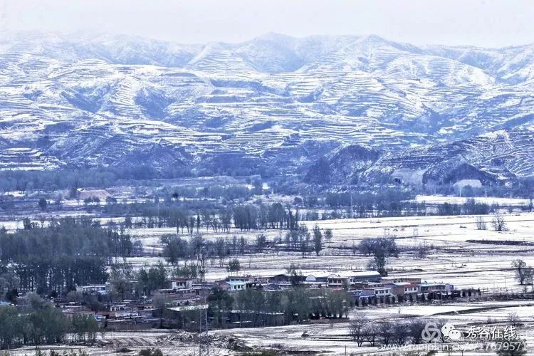 【图说】忻州庄磨镇又一组美照流出来啦,大家快看