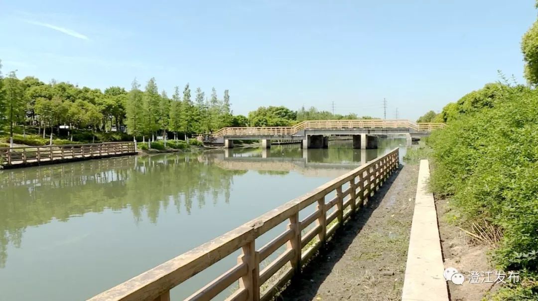 西橫河(通江路處)及長江(船廠公園)等河道現場,實地查看水面及沿線