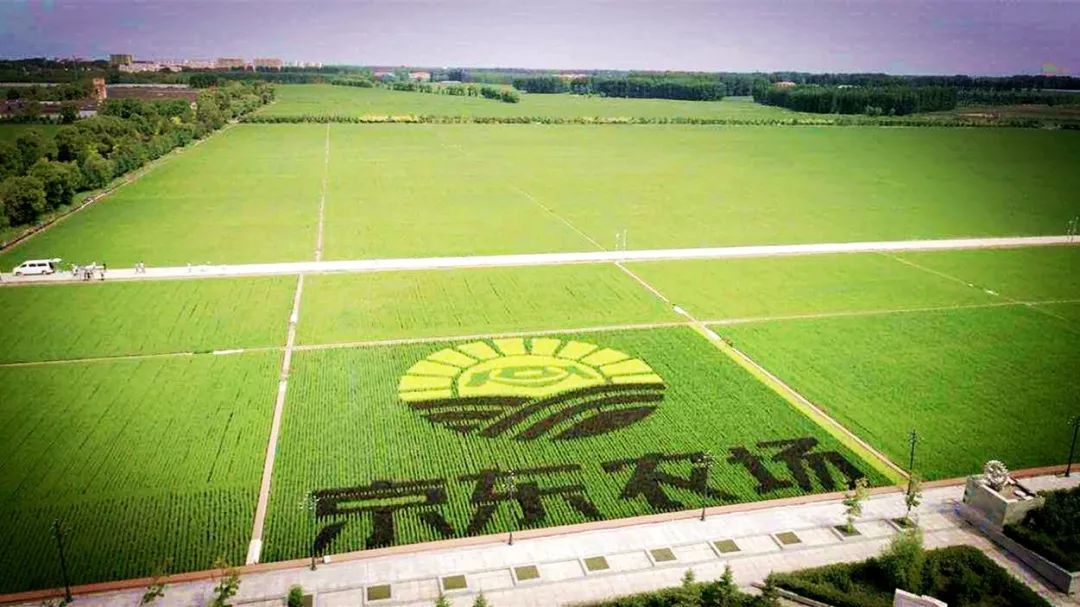 京东农场"三位一体"战略发布,和区域公用品牌一起搞大事!