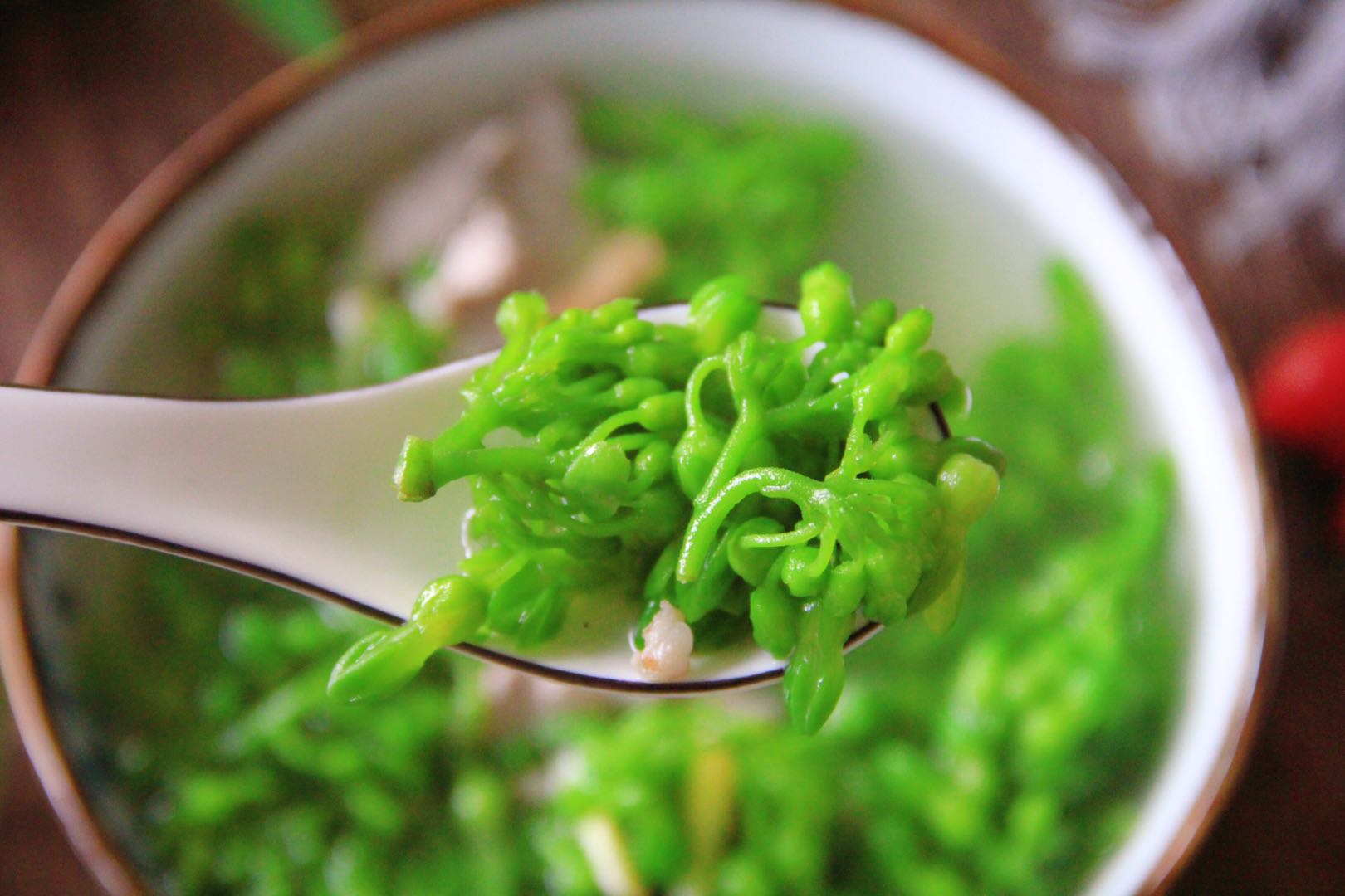 每回遇到此菜必买,用来煮汤最鲜美,清甜开胃又下火,就是太少见_千里香