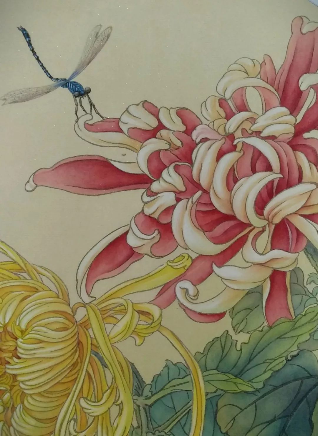 陈松岩教授工笔菊花与蜻蜓网络班招生仅需110元