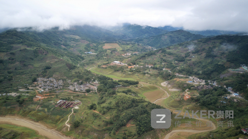 岩架镇 一串网红香蕉的"进阶之路"_册亨县