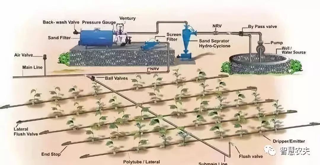 以色列的水肥一体化技术,让每个农民养活113个人,成为世界农业强国