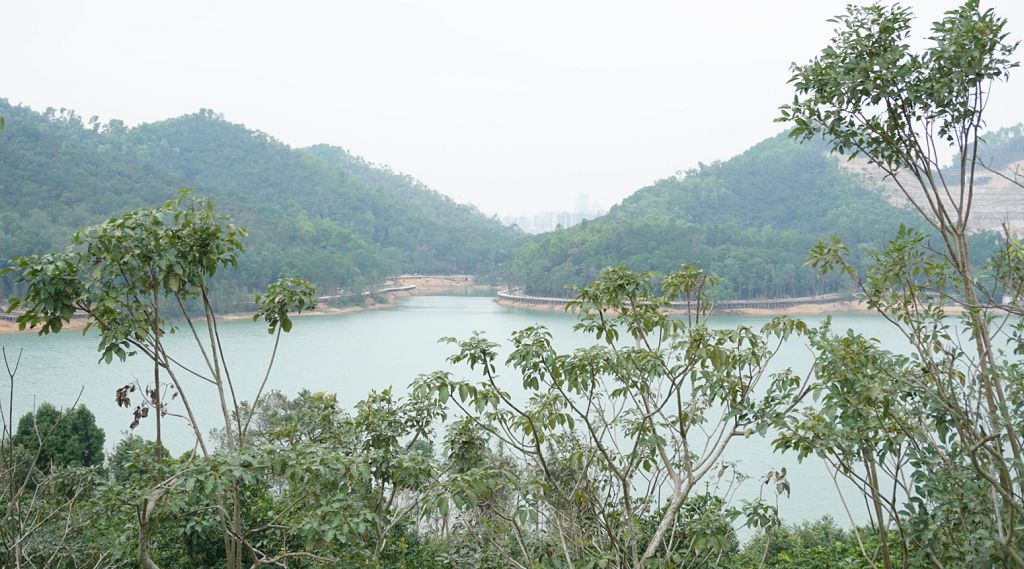 还包括市儿童公园效果图儿童公园和古香林公园金字山公园,金钟湖公园