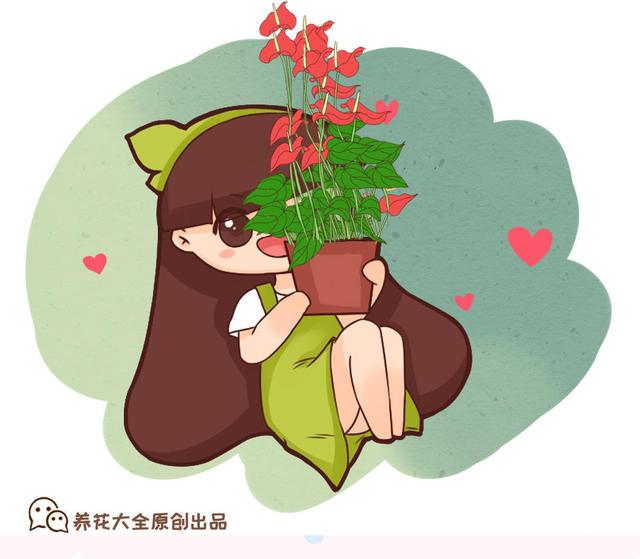 这几种适合水培的植物就适合夏天养看着就清凉解暑