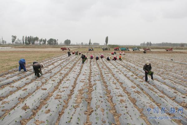 (张玉峰 王福飞 返回搜 责任编辑