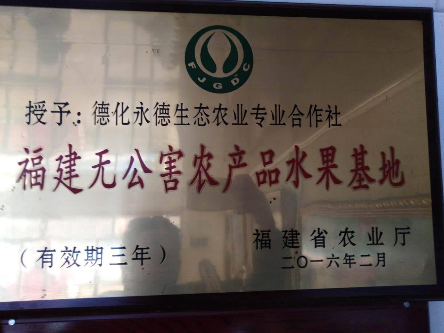 无公害农产品水果基地德化县永德生态农业专业合作社