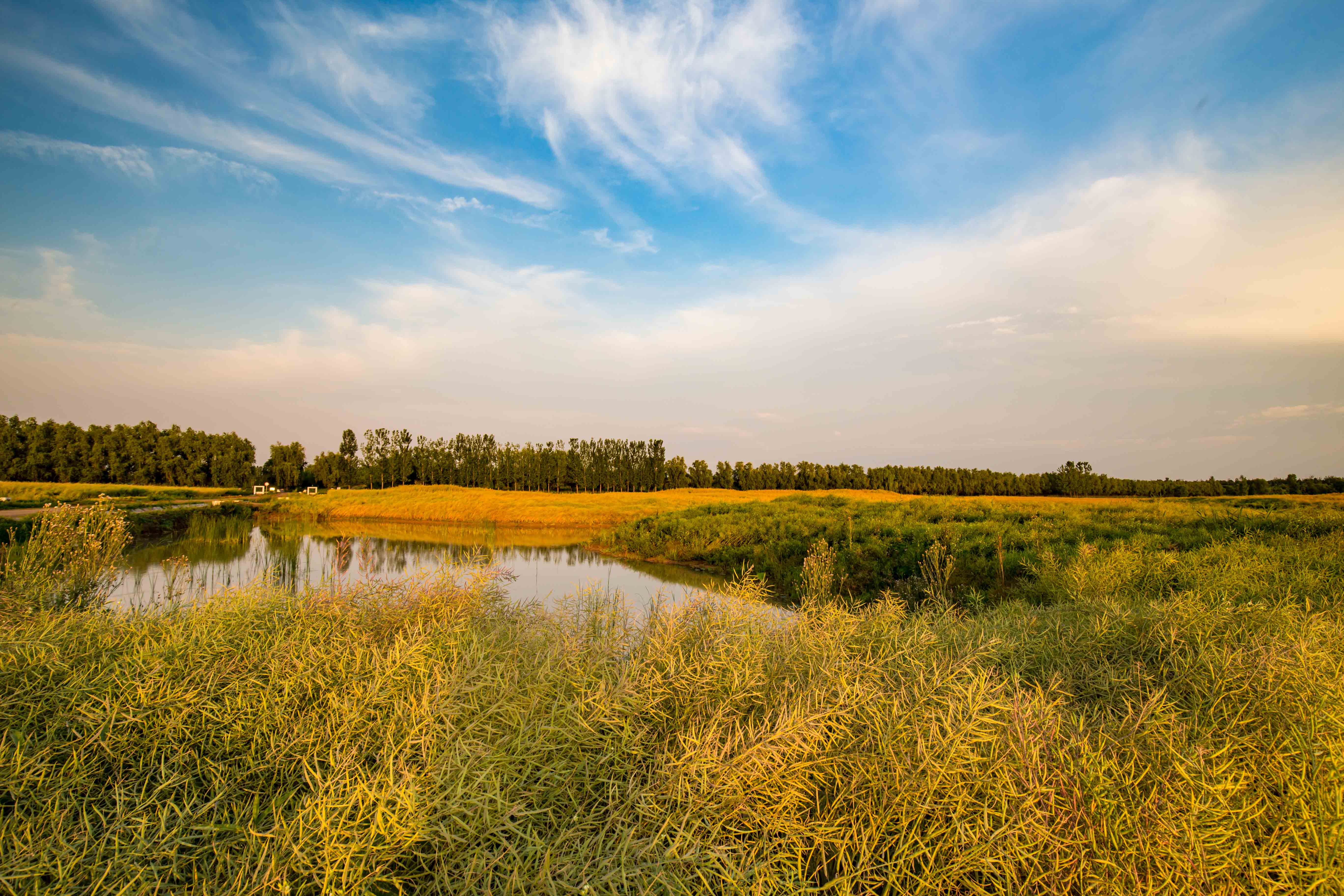 河南封丘一个国家级贫困县的绿色发展