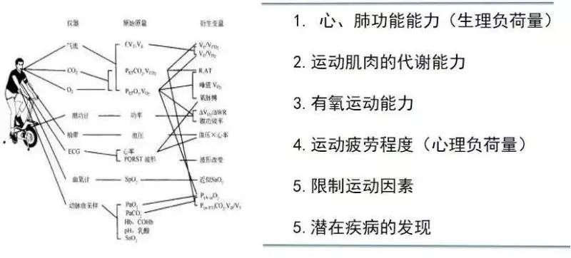 心肺运动试验9图解读图片