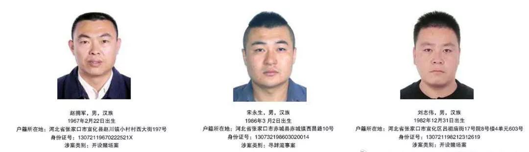 张家口公安发布悬赏通告至今已经有12名犯罪嫌疑人归案!