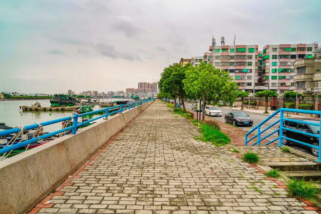 坑墘路,沿江路,河中路岗背段,珠河路北段…区领导调研项目前期工作