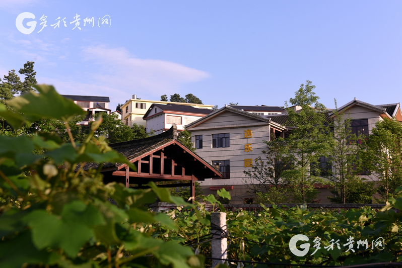 【壮丽70年·奋斗新时代】一条路,通向乡村振兴美好未来