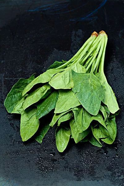 过去主张多吃,现在医学研究证明菠菜含草酸,跟食物中锌结合形成草酸锌