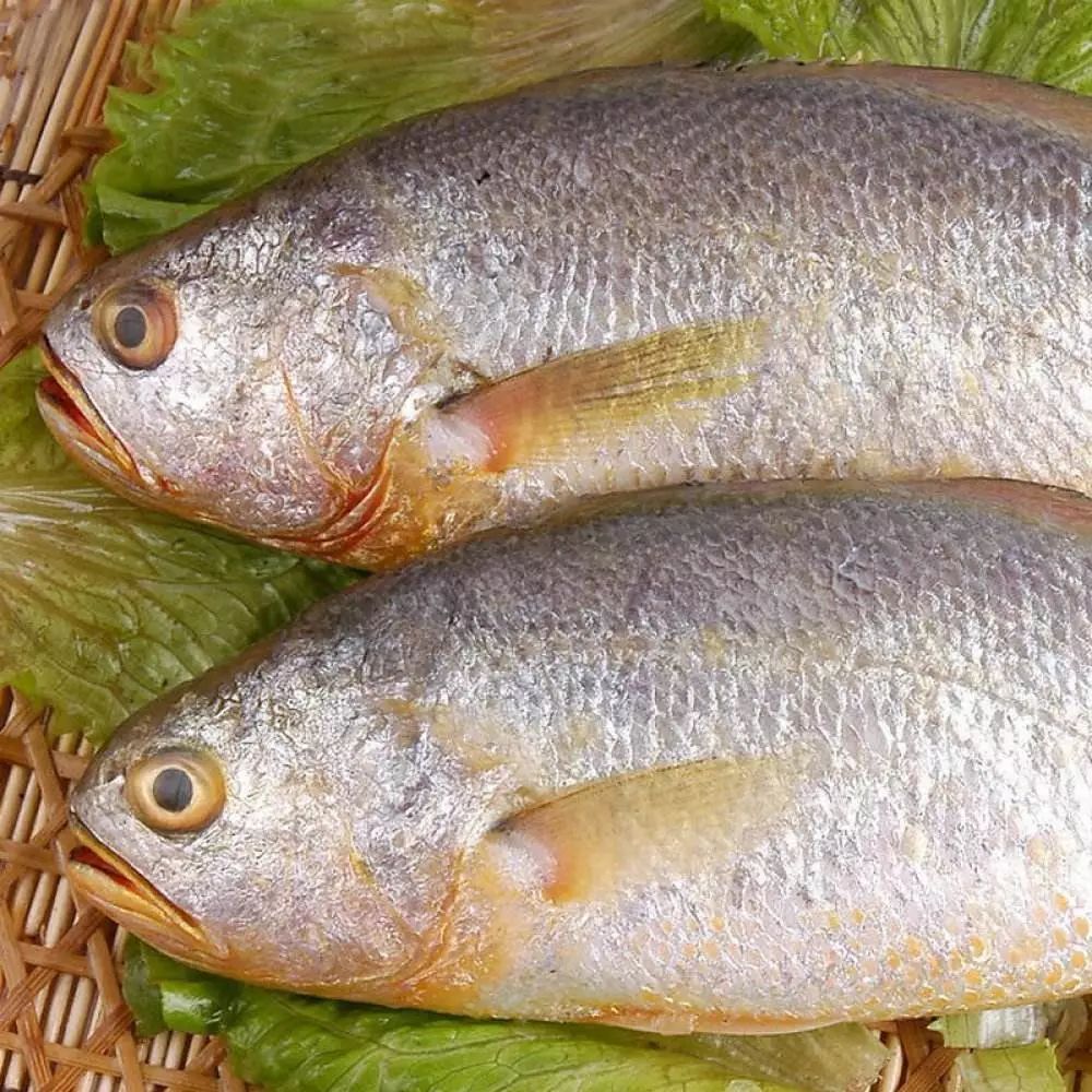 大排档等餐饮场所 禁止销售带鱼,大黄鱼,小黄鱼,银鲳,鲐鱼,三疣梭子蟹
