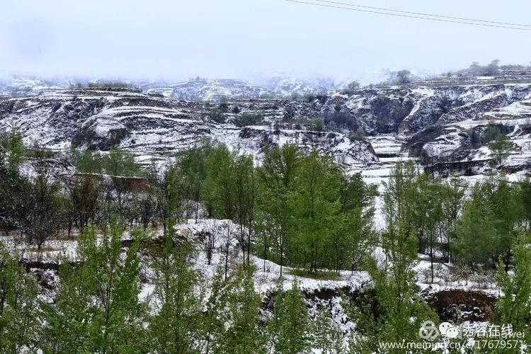 【图说】忻州庄磨镇又一组美照流出来啦,大家快看