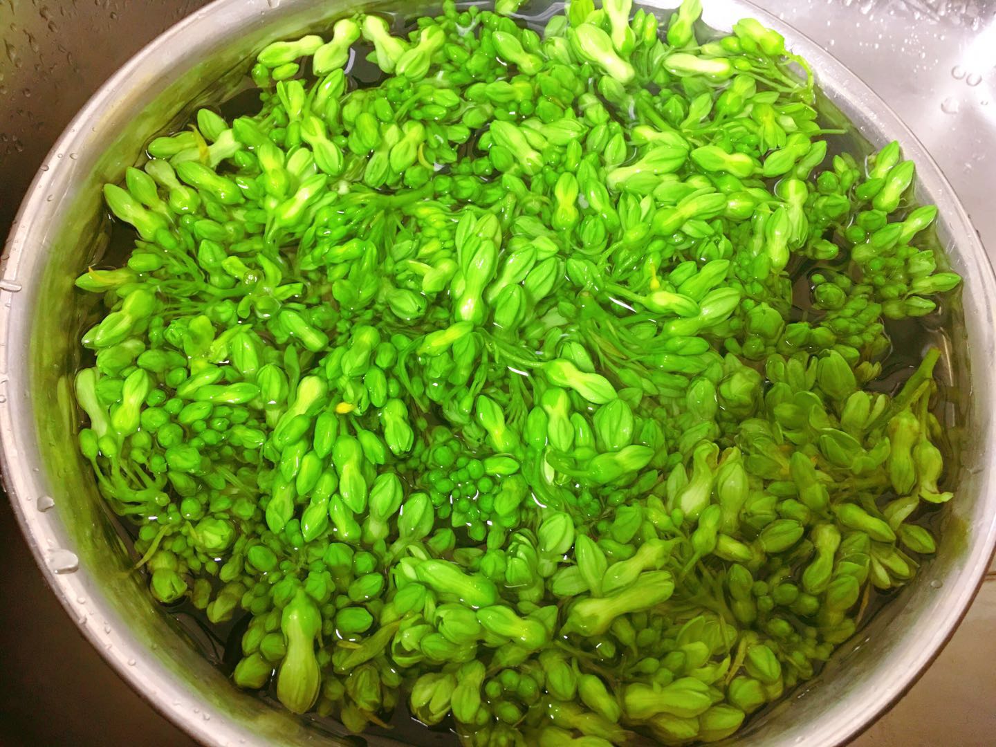 每回遇到此菜必买,用来煮汤最鲜美,清甜开胃又下火,就是太少见_千里香