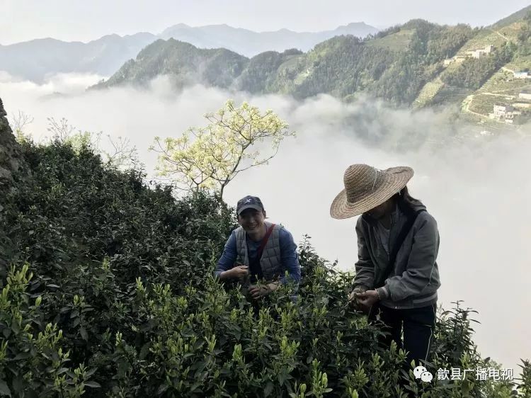 壯麗70年奮鬥新時代蜈蚣嶺梯田鐫刻在高山上的壯麗詩行