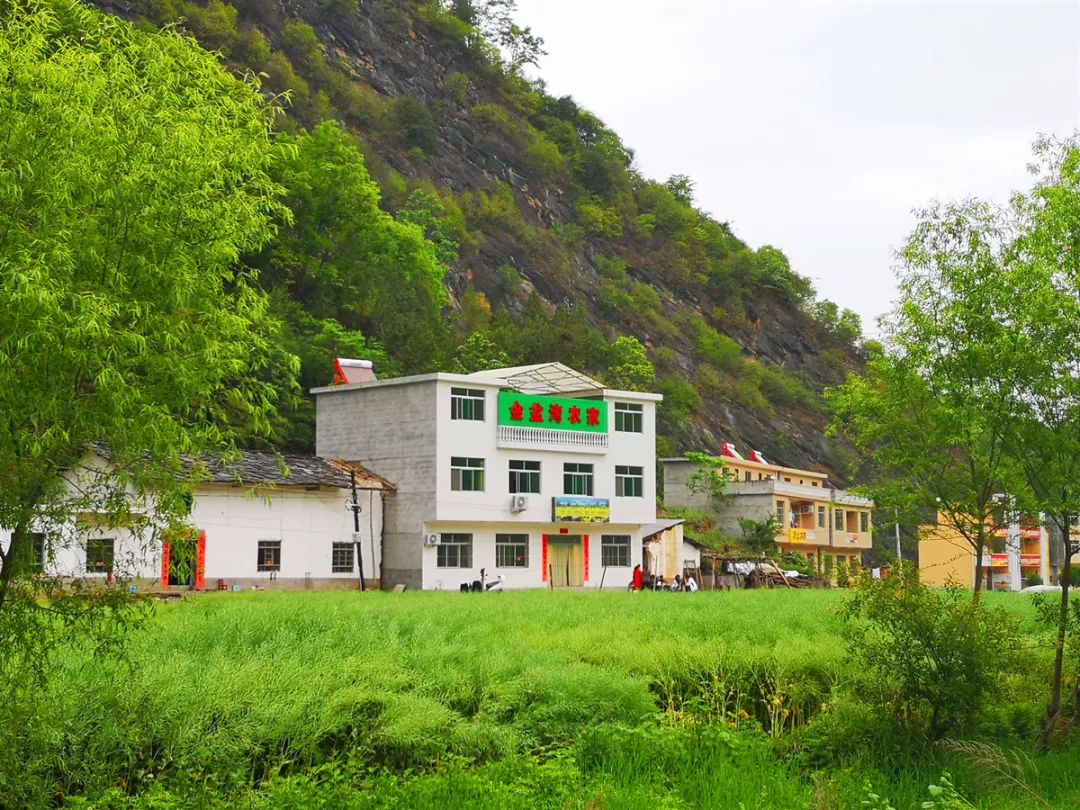 走进陕西的香格里拉安康旬阳水泉坪