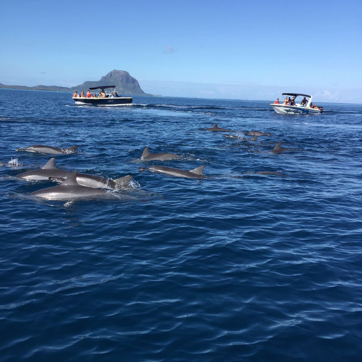 1,海豚湾其实这里的小岛并不是千篇一律,而是每个岛都有它不同的风格