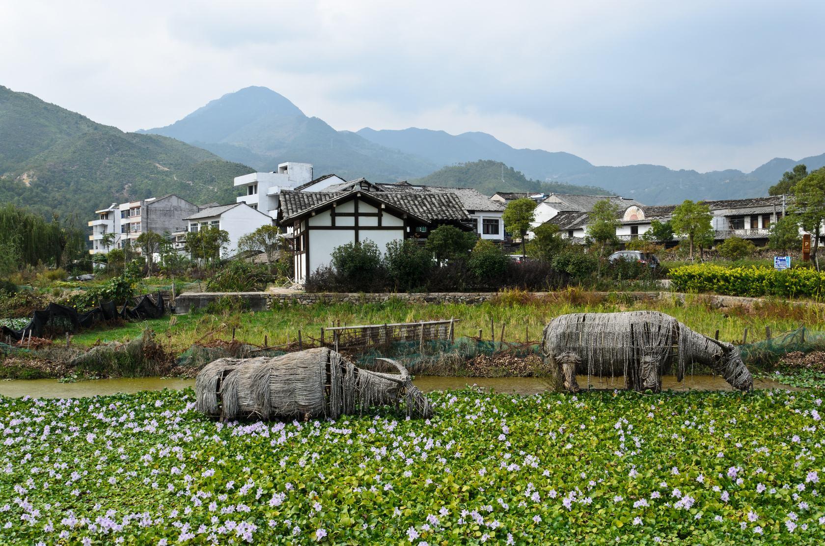 温州瓯海区潘凤风景图片