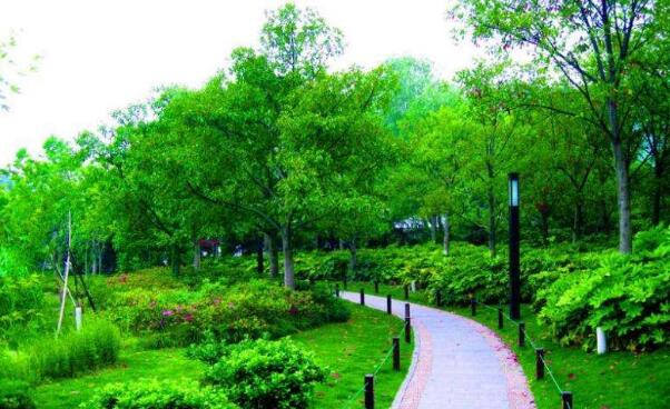 城市园林环保绿化工程施工中植物养护有何策略?