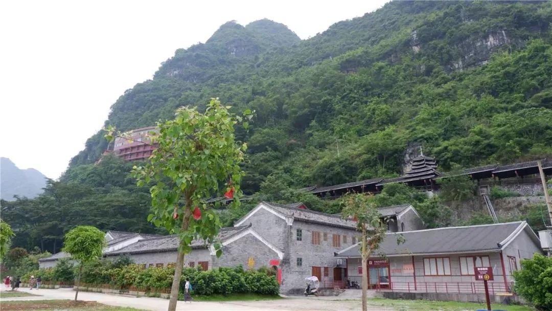 健康之旅,長壽之旅,運動之旅100多名茂名遊客遊覽了馬山縣各大景點,5