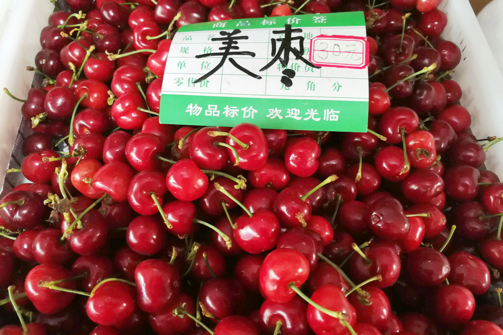 菜市场樱珠最低15元一斤 小樱桃15元2斤 不温不火-搜狐大视野-搜狐新闻