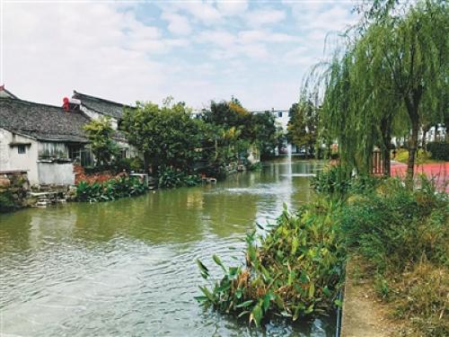 裘市大河:全域联动治污护水美丽"蝶变"_洪塘街道